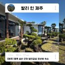 발리인제주 민박 | 제주 동쪽 성산일출봉 근처 숙소 발리인제주 발리감성 오션뷰 오름룸 내돈내산 솔직후기