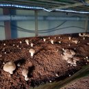 해남슈퍼 이미지