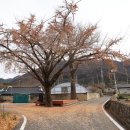 반룡마을회관 이미지