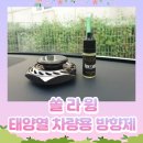 주식회사 골드쏠라 | 쏠라윙 태양광 방향제 : 전기차 방향제 전기차 디퓨저 추천
