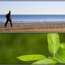 사계절한의원 이미지