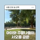 서오릉산책 | 고양 서오릉 공원 산책 후기 | 아이와 가기 좋은 숲 나들이
