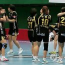 코리아타이거체육관 이미지