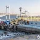 옐로우라이트하우스 이미지