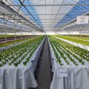 와우영농조합법인 이미지