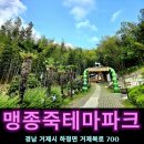 맹종죽테마파크1 | 거제도 가족여행 아이랑 갈만한곳 거제맹종죽테마파크 체험 입장료 주차장 힐링 대나무 산책
