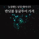 글로우투어 | 뉴질랜드 테아나우 반딧불 동굴투어 가격 예약방법 최저가 글로우웜 후기