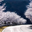 합천게스트하우스민박 이미지