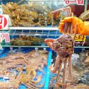 가락활어회센터