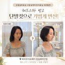더 137 헤어 | 잠실미용실 파리꾸아프헤어 잠실래미안점 헤드스파와 단발컷 후기