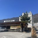착한낙지 양산점 | 양산맛집 든든하고 뜨끈한 갈낙탕이 맛있는 착한낙지 경남양산점