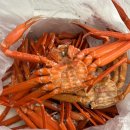 동해다리화장실 | 동해 홍게 3KG "광성홍게장군" 생물 자연산 박달홍게 택배 주문 후기