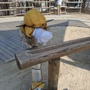 고운동모두의놀이터 | 세종시 고운동 모두의 놀이터 방문후기