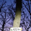 솔밭가든 이미지