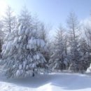 언덕위의하얀집 이미지