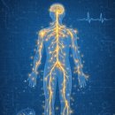 라라코리아 | 집에서 세포를 회복시키는 방법/ 라라코리아 셀프닥터 미세전류 홈케어 후기