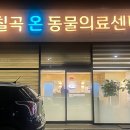 칠곡온동물의료센터 이미지