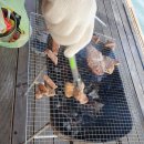 중리테마파크 | 포천중리테마파크 낚시터 후기