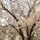 사성공원 이미지