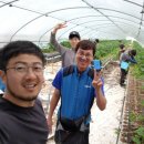 주철농장 이미지