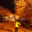 군산월명종합경기장실내게이트볼장 이미지