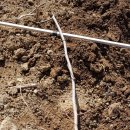 녹지원 농장 이미지