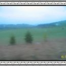 우리사슴목장 이미지