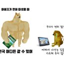 래딧