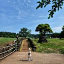 태기목장 이미지