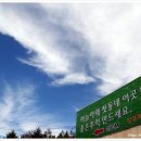 청운물산