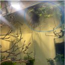 어항고개 이미지