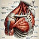리온 휘트니스 이미지