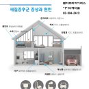 크린토탈솔루션 이미지