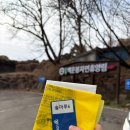 상쾌한숲속약국 | 양평 백운봉자연휴양림 숲속의집 솔마루6 후기