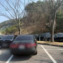 뉴 나이스 당구클럽 | 일동레이크GC, 코스 및 클럽하우스 리뷰 (26년 3월)