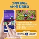 김천구미키즈