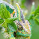 비타민동물병원 이미지