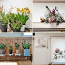 소담밥집 이미지