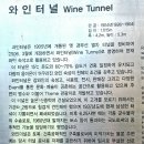 와인터널 이미지