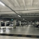 세종 아파트 버스정류장 네이버블로그