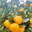 굿랜드공인중개사사무소 이미지