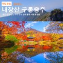 11월 2일(토) 단풍의 백미 내장산 구봉 종주 및 단풍 산행 안내 이미지