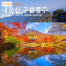 11월 2일(토) 단풍의 백미 내장산 구봉 종주 및 단풍 산행 안내 이미지