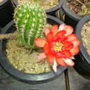 반석농장 이미지