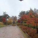 서리풀공원1-30 이미지