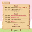 메아리 캠핑장 이미지