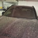 로얄손세차 | 울산 남구 문수산동원로얄듀크 BMW X5 320D 정기세차 출세남 출장세차 아파트 지하 주차장 작업 후기 리뷰