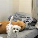 스튜디오포유 이미지