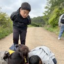 4월 첫째주 목요일-숲놀이터 가는 날 이미지