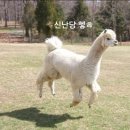 내담미용실 | [구리미용실] 내담헤어 - 진격의 마덜 변신 후기 ㅋㅋ / 열펌 / 디지털펌 / 구리머리잘하는곳 / 수택동...